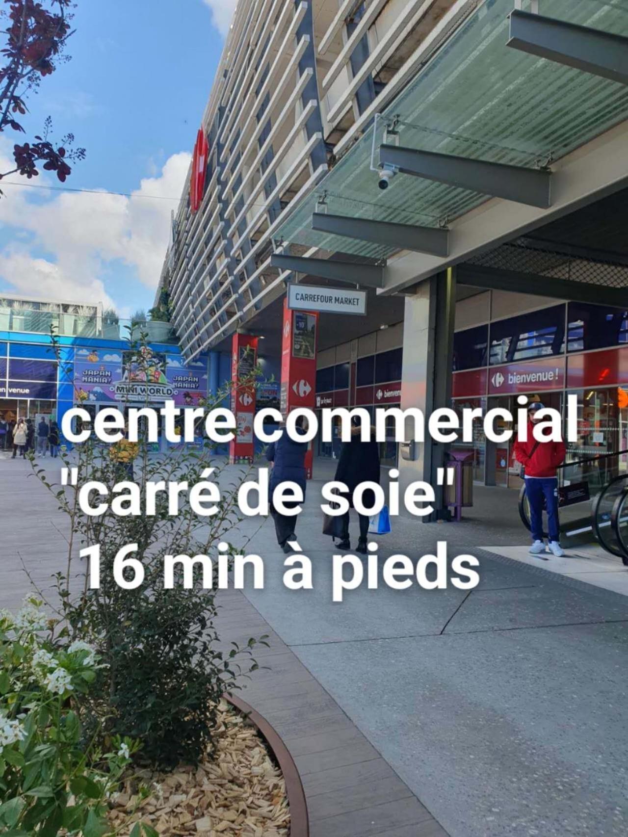 Medipole T2 Avec Un Garage Gratuit Sur Place, 16Min A Centre Ville Lyon En Metro A Villeurbanne Exterior foto